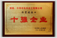 十強企業(yè)2013